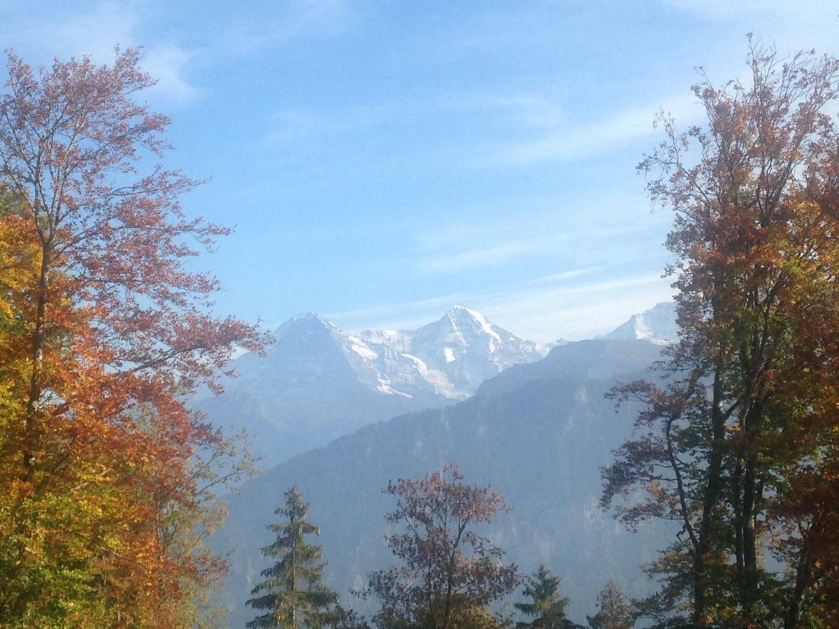App. Seeblick Top Of Interlaken Beatenberg Exterior foto