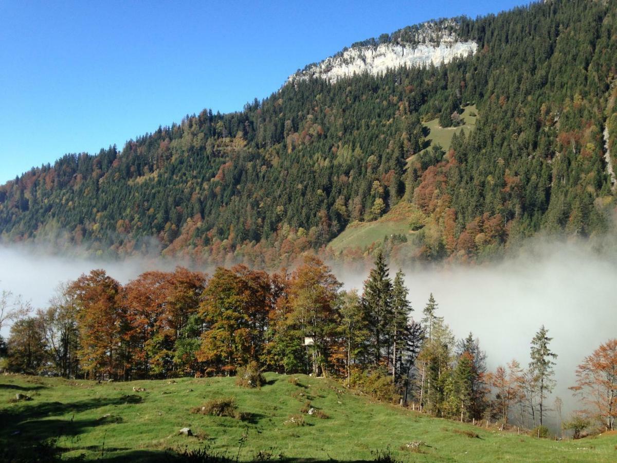 App. Seeblick Top Of Interlaken Beatenberg Exterior foto