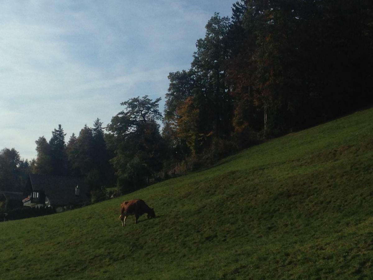 Apartamento App. Seeblick Top Of Interlaken Beatenberg Exterior foto